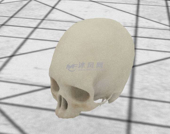 头骨整体效果图