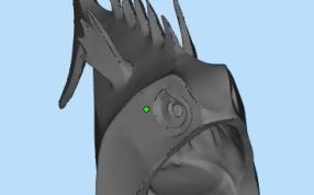 玩具鱼打印模型