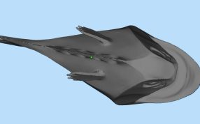 鱼建模设计参考图