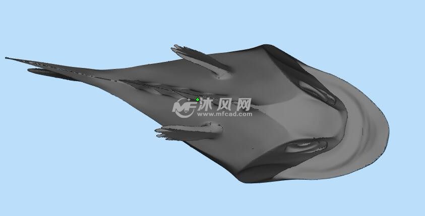 鱼建模设计参考图