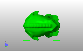 快乐的青蛙俯视图