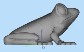 青蛙建模参考图