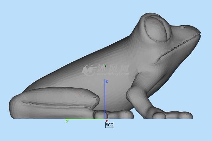 青蛙建模参考图