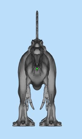 原始生物三维模型