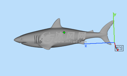 海洋生物三维模型