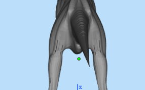 大型动物3D打印