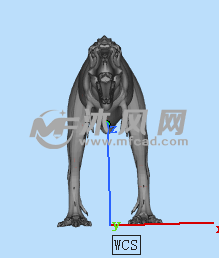 动物模型三维设计