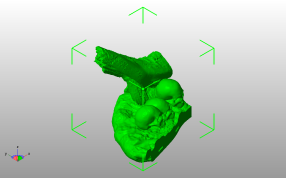 铁血战士底座骷髅