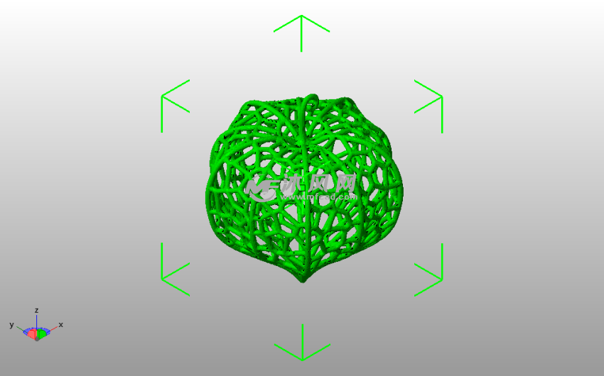 金灯果模型斜视图
