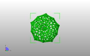 金灯果模型俯视图