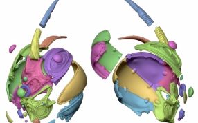 盖弗头盔模型零件拆分图