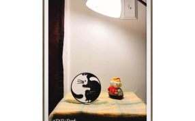 太极猫模型实物图-灯