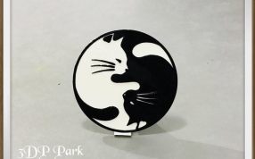 太极猫模型实物图