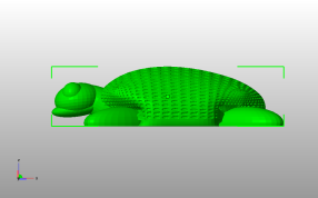 大乌龟模型侧视图