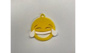 笑哭表情实物图