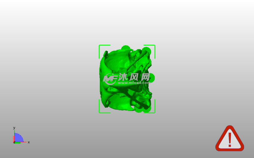 鹰头骨模型俯视图