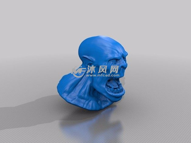 奥克斯半身像斜视图