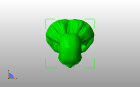 奥克斯半身像俯视图