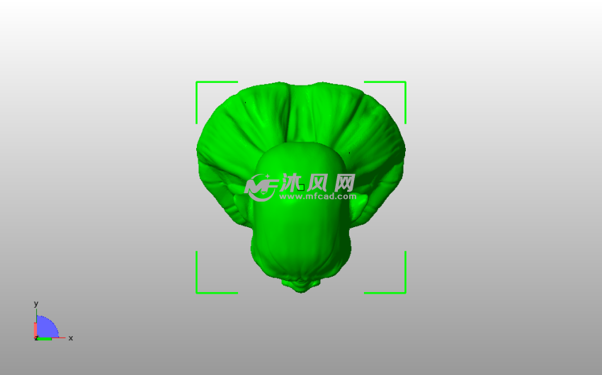 奥克斯半身像俯视图