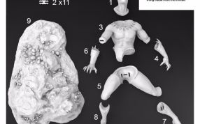 黑豹零件打散图