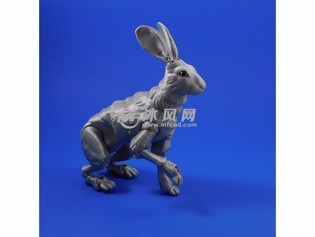 机器人兔子实物图-坐