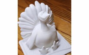 胖火鸡模型实物图