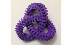 三叶管结实物图