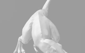 霸王龙石膏模型