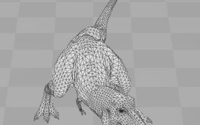 霸王龙网络结构