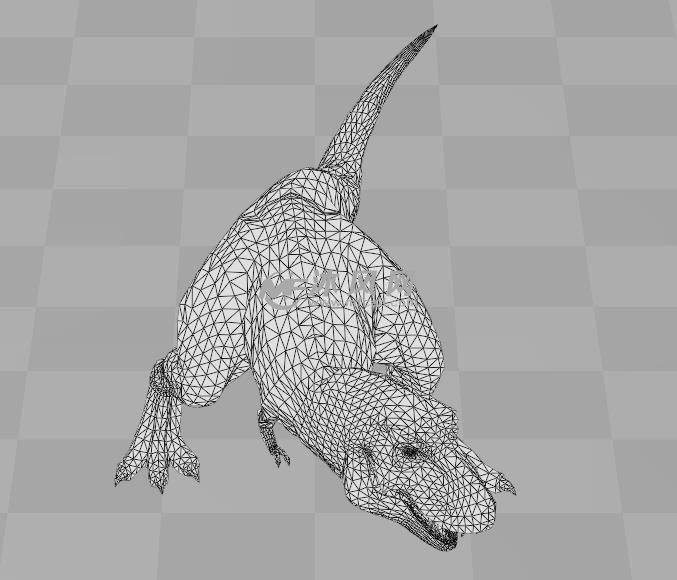 霸王龙网络结构