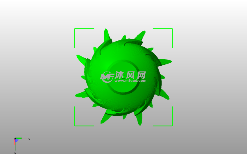 菠萝大叶花瓶底视图