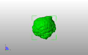 皇帝安东尼皮乌斯的大理石人像俯视图