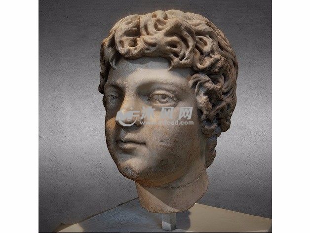 卡拉卡拉头像实物图