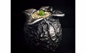 外星人蛋花盆实物图