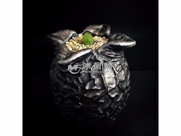 外星人蛋花盆实物图