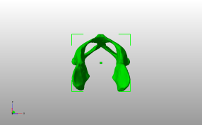 小猫盆骨主视图