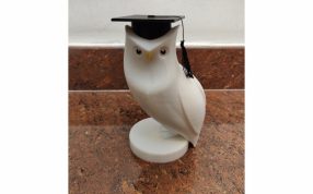 学士帽鹦鹉实物图