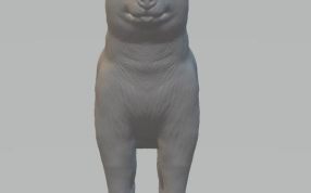 有灵气的小狗-正视图