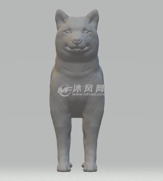 有灵气的小狗-正视图