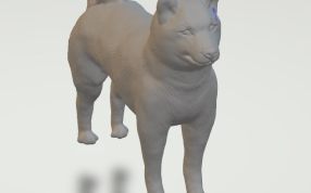 有灵气的小狗整体图