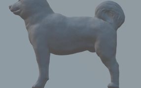 有灵气的小狗-侧面