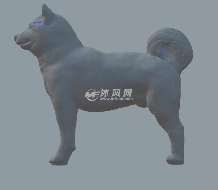 有灵气的小狗-侧面