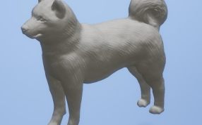 有灵气的小狗侧面