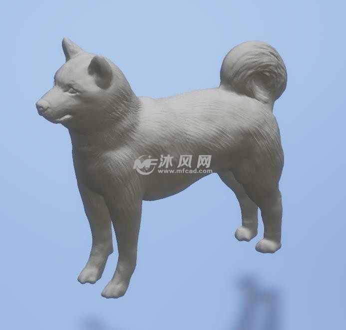 有灵气的小狗侧面