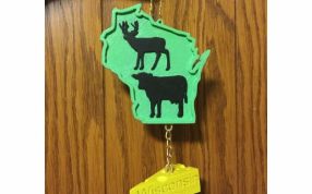  圣诞节树饰实物图