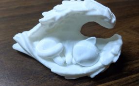 天使猫模型实物图