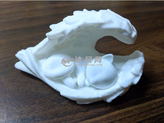 天使猫模型实物图