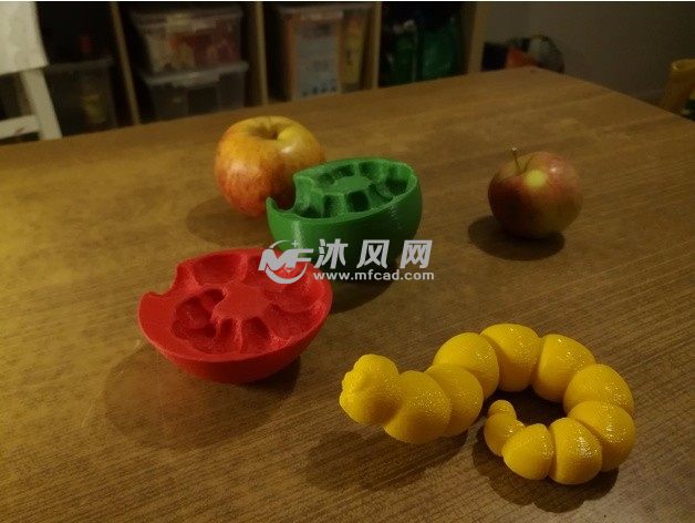 苹果中的毛毛虫实物图