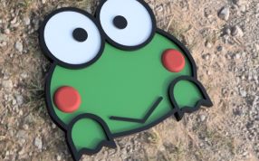 2D小青蛙实物图