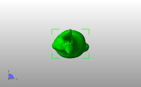 紧张的小兔子俯视图